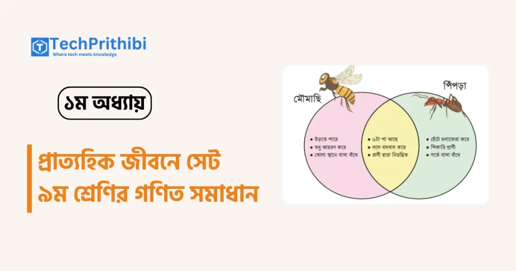 প্রাত্যহিক জীবনে সেট